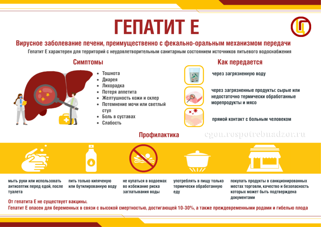 Памятка Гепатит Е_.png