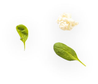genetics_2.jpg genetics_2.jpg
